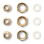 3/4 in Low Lead AM1 Valve Tail Piece (3 Unions and Press Fittings)